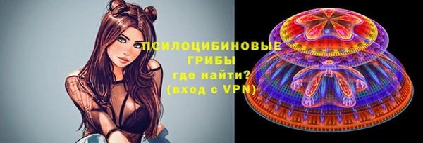 мяу мяу мука Алексеевка