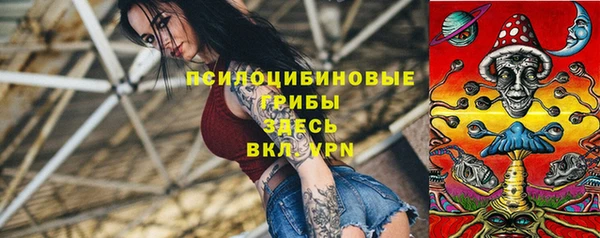 spice Алексин