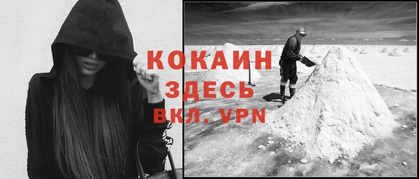 spice Алексин