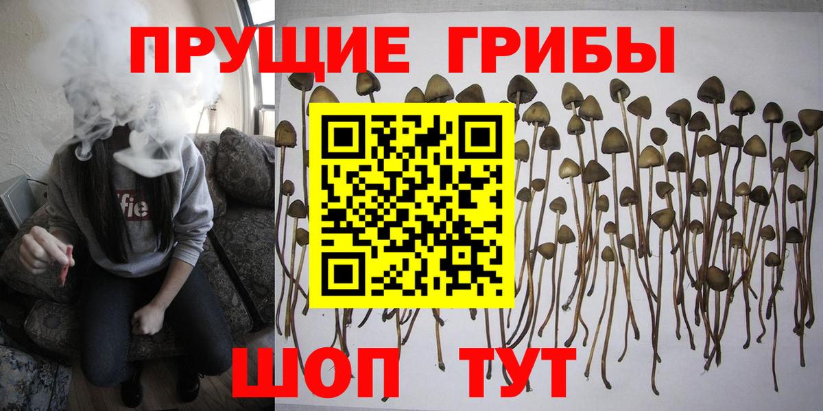 Псилоцибиновые грибы Magic Shrooms Десногорск