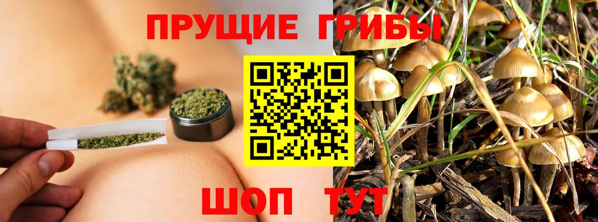 Десногорск  Галлюциногенные грибы мицелий  где найти наркотики  Вход с VPN 